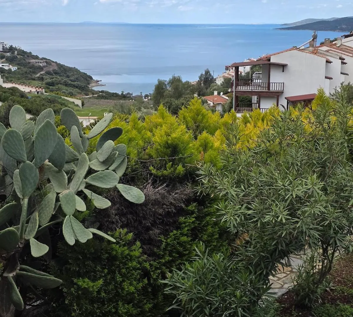 Sevinc Akasya House Apartment Milas