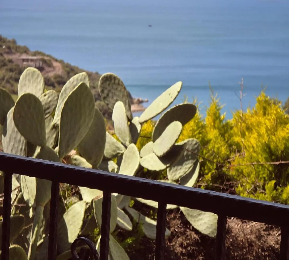 Sevinc Akasya House Apartment Milas